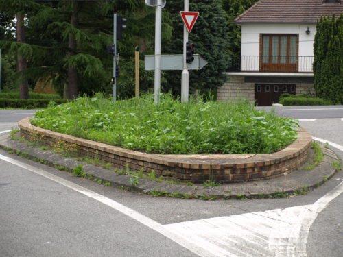 Elus et entretien des espaces verts laissant à désirer… la solution est elle le « tout plastique » ?