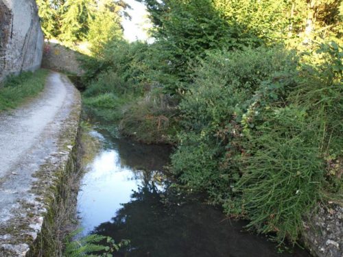 Entretien des espaces verts: la rémarde à l’abandon