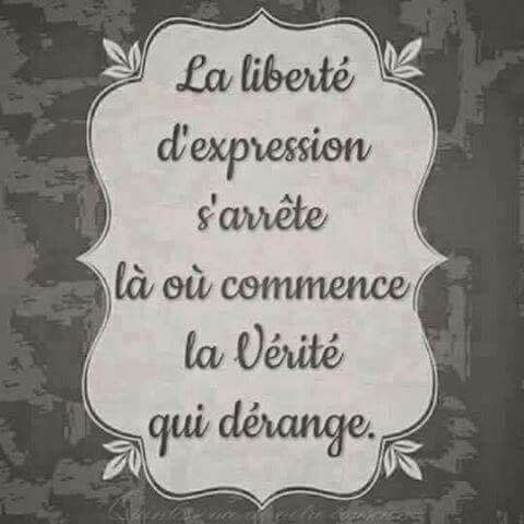 François Chevallier « En Marche », mais pas vers la liberté d’expression pour toutes et tous ;) … démonstration par le son…